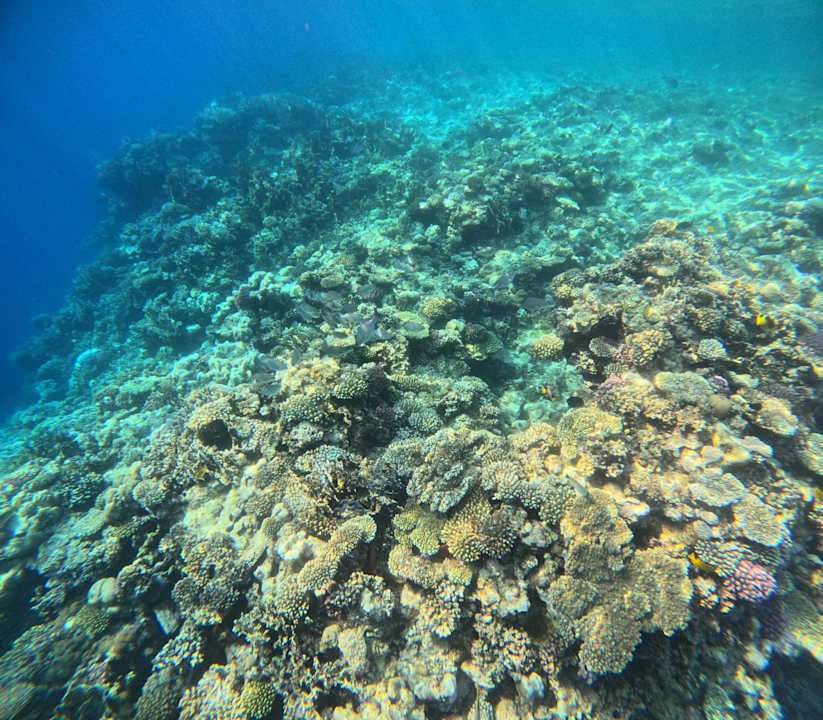 Strand Coral Hills Resorts & SPA