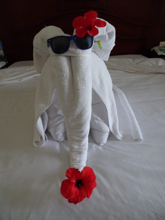 Zimmer Brayka Bay Resort