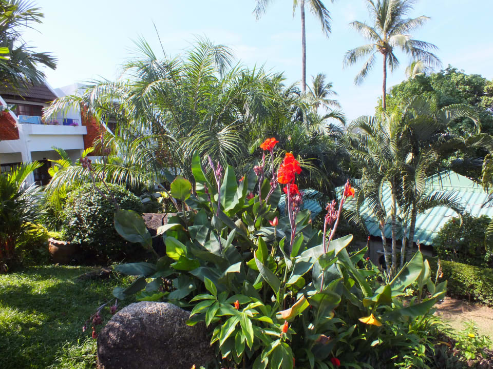 Hotelgarten Best Western Phuket Ocean Resort