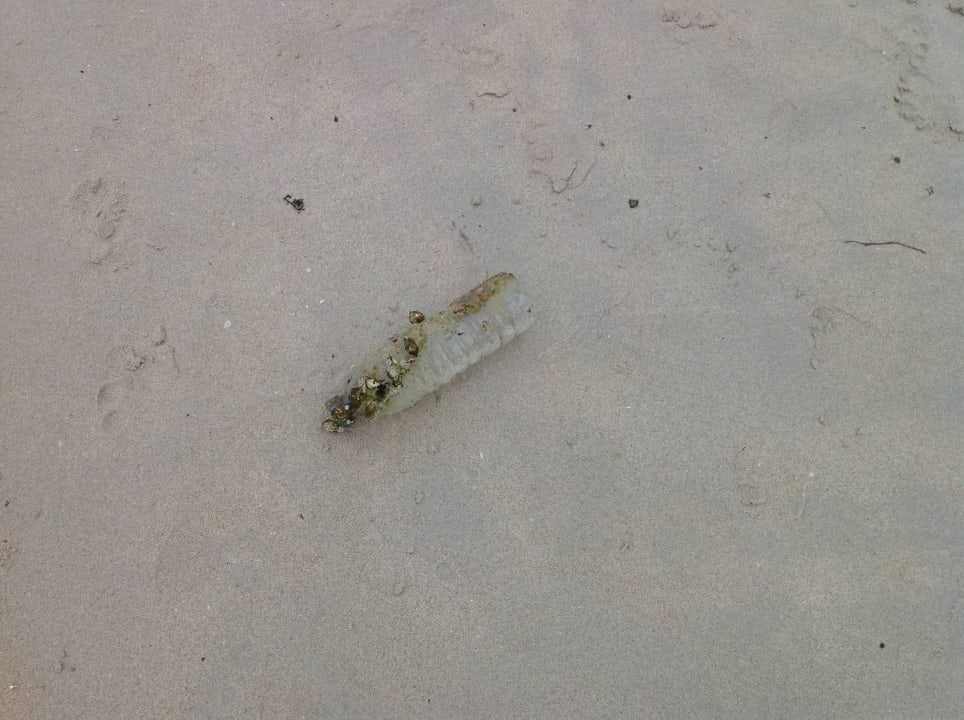 Strand voller Plastikmüll Crystal Bay Yacht Club Beach Resort