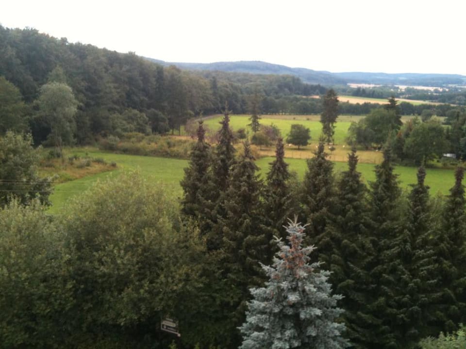 Blick aus dem Zimmer  Hotel Der Jägerhof