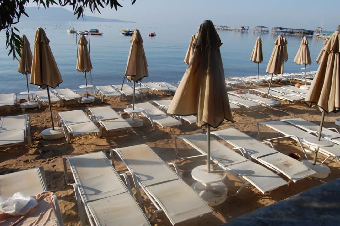 Komfort i czar plaży hotelowej Asteria Venus Didim