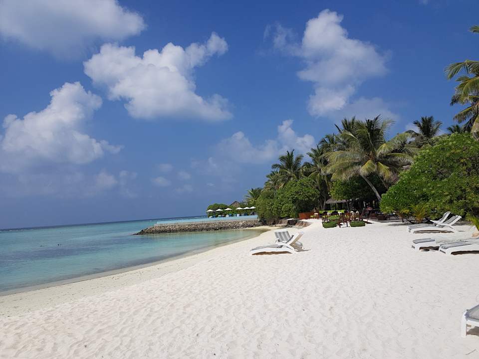 Strand Summer Island Maldives
