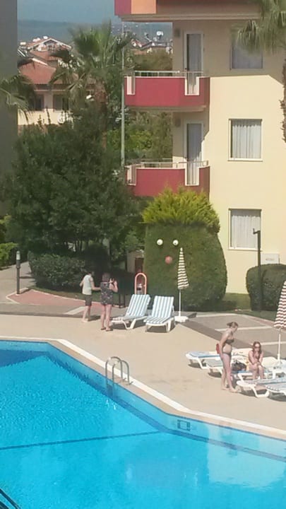 Babsi hat dem Busch ein Gesicht gegeben Hotel Orfeus Park