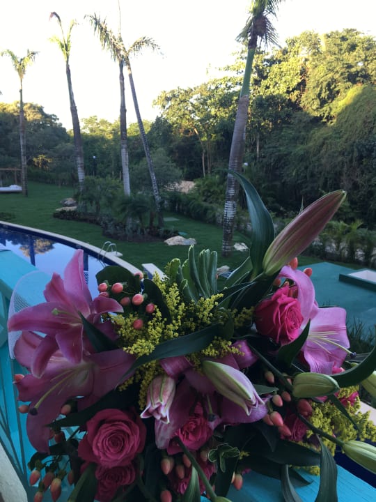 Zimmer Dreams La Romana Resort & Spa