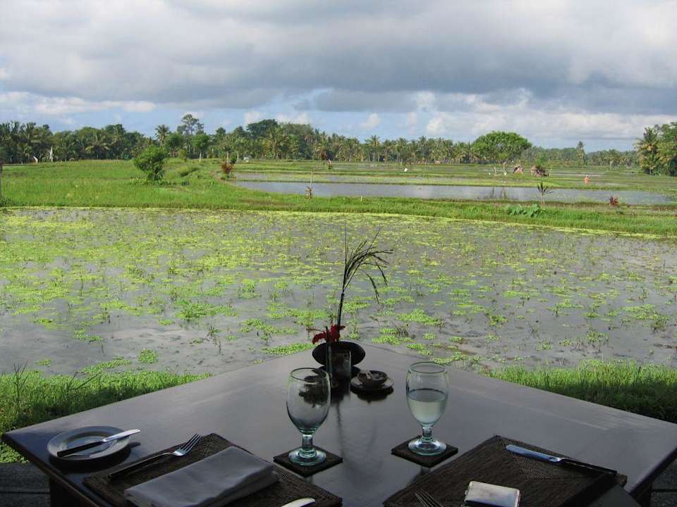 ohne Worte Tanah Gajah, a Resort by Hadiprana