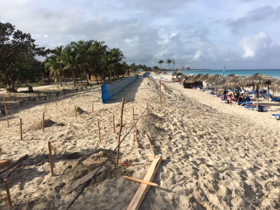 Sichtschutz Hotel Roc Barlovento