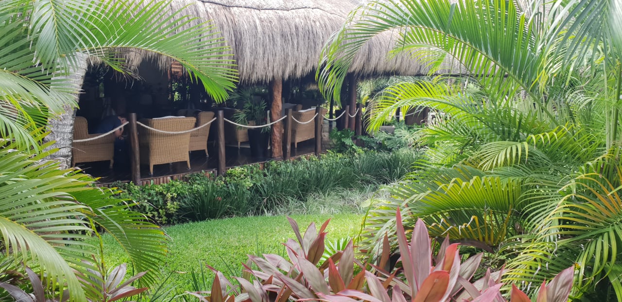 Gartenanlage Akumal Bay Beach & Wellness Resort