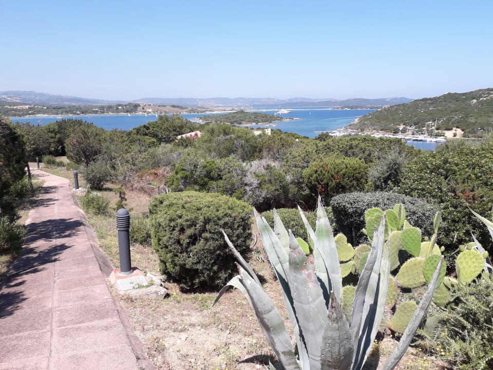 Gartenanlage Residence Costa Serena