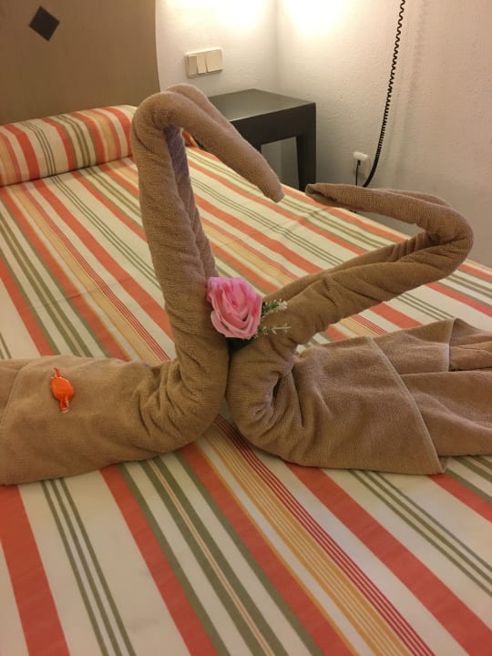 Zimmer SBH Hotel Taro Beach