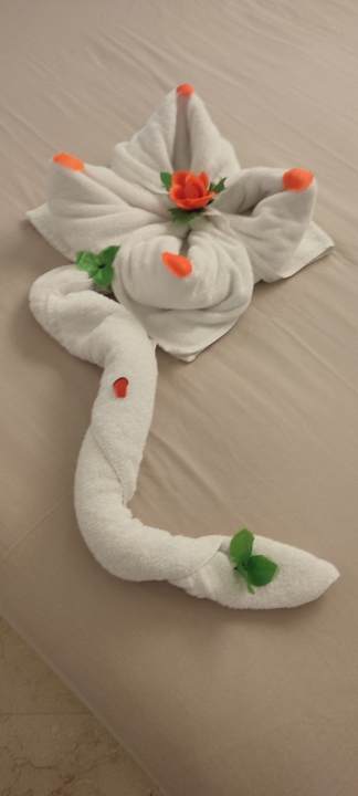 Zimmer Makadi Spa - Adults only