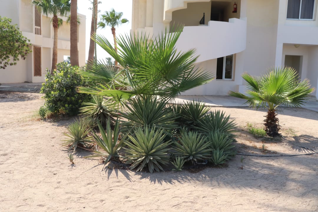 Gartenanlage Hurghada Long Beach Resort