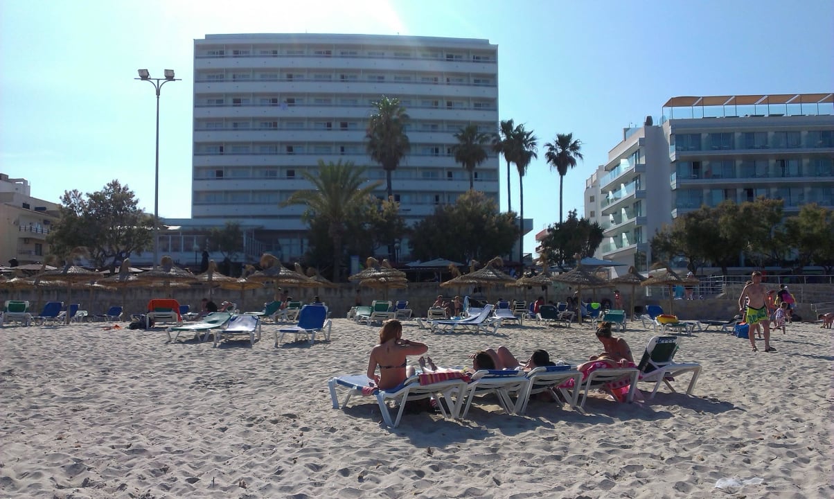 Der Strand direkt vor dem Hotel Hipotels Don Juan