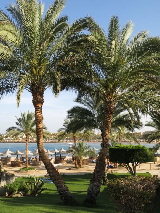 Hoteleigener Strand Steigenberger Coraya Beach - Adults only