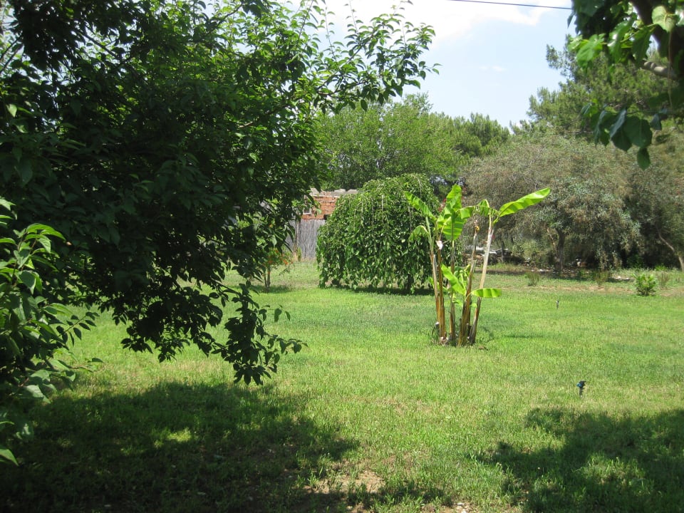 The Green  Guesthouse Baraka House