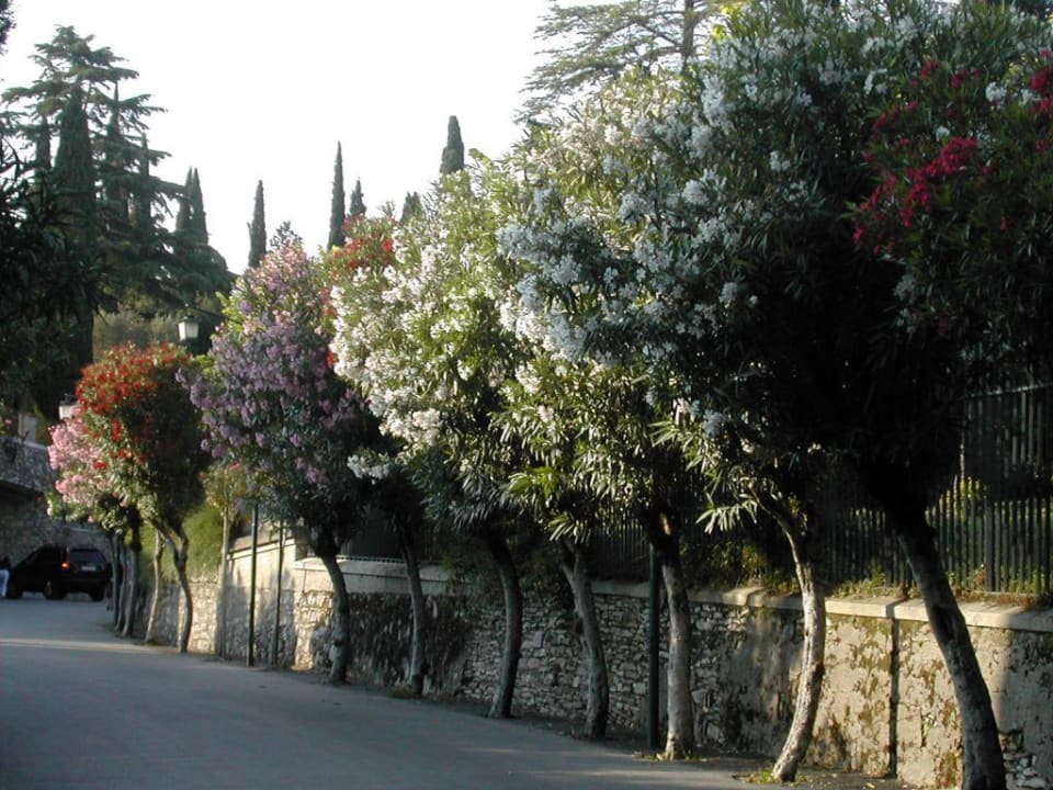 Straße zum Hotel Hotel Meridiana