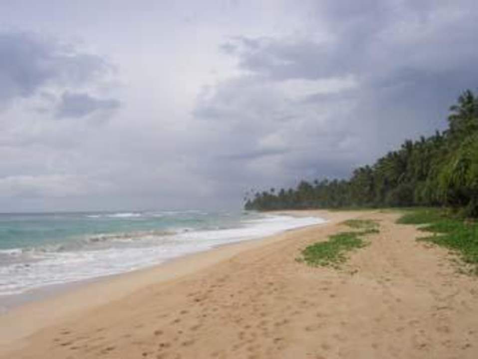 Breiter Sandstrand ohne Platzprobleme Hotel Haus am Meer Wilde Ananas