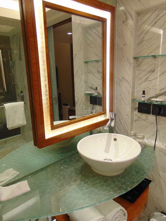 Zimmer Hotel Hyatt Regency Delhi