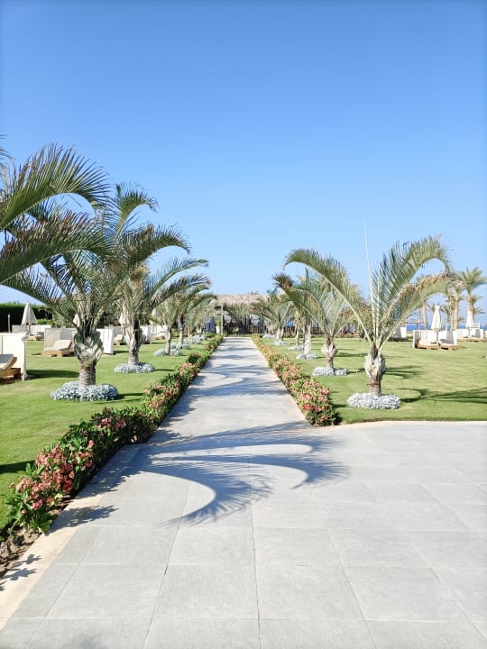 Gartenanlage Steigenberger Resort Alaya Marsa Alam - Red Sea - Adults only