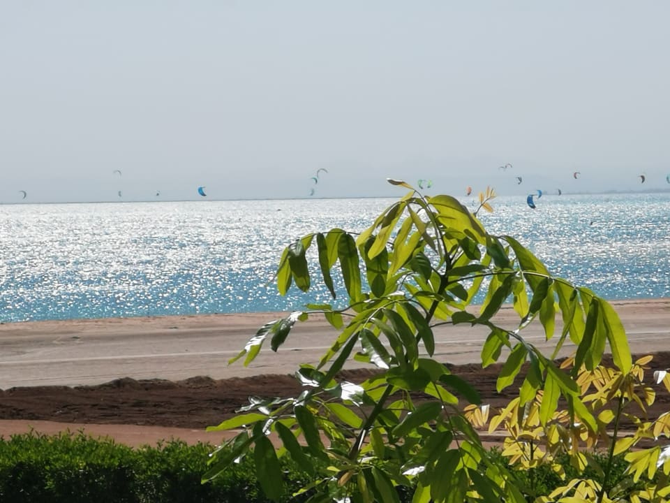 Ausblick Steigenberger Resort Ras Soma