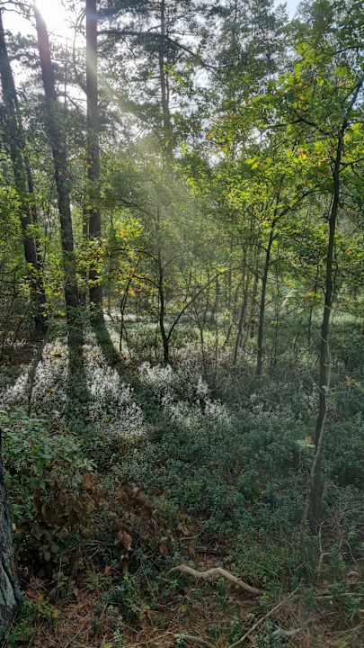 Außenansicht Ferienhof Zur Alten Fuhrmanns-Schänke