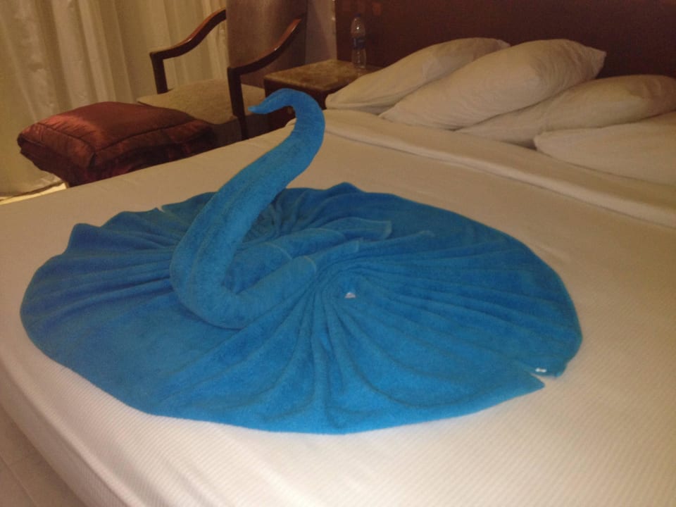 Schwan Shams Prestige Abu Soma-Adults Only