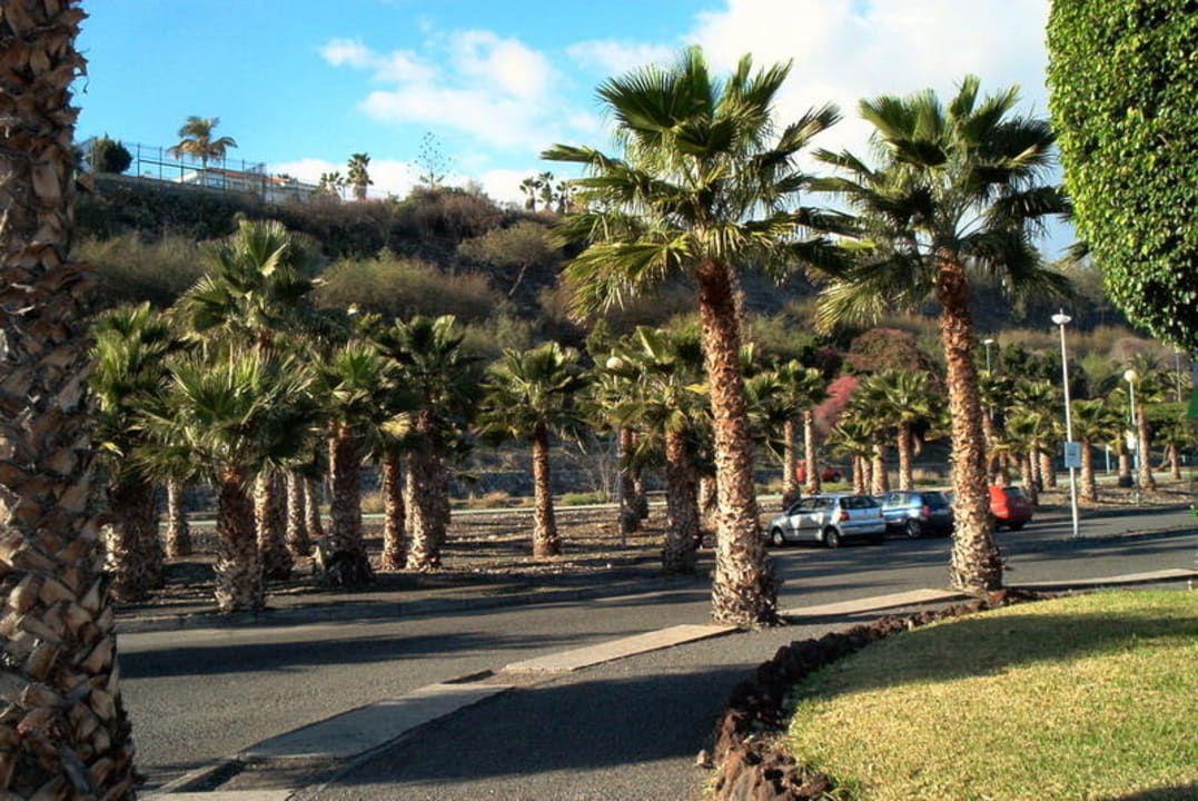 Vor der Anlage Caybeach Princess