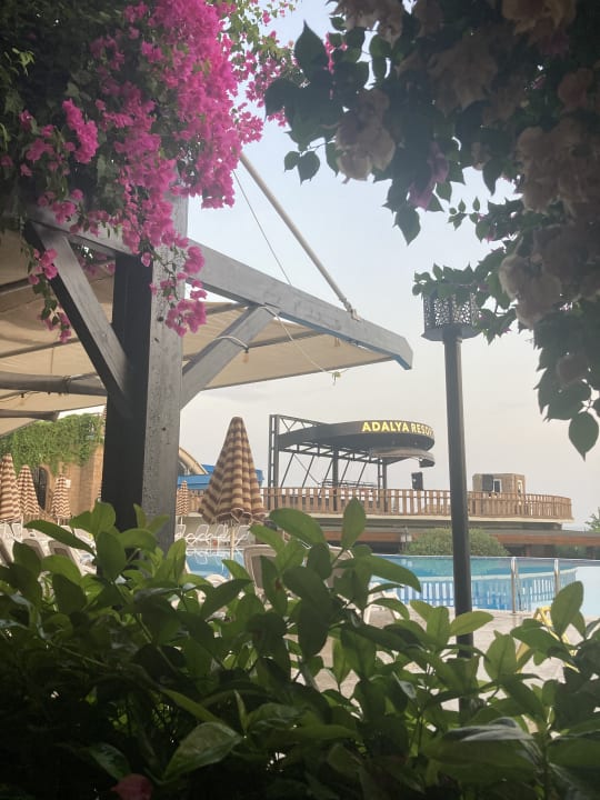 Gartenanlage Adalya Resort & Spa - Adults Only