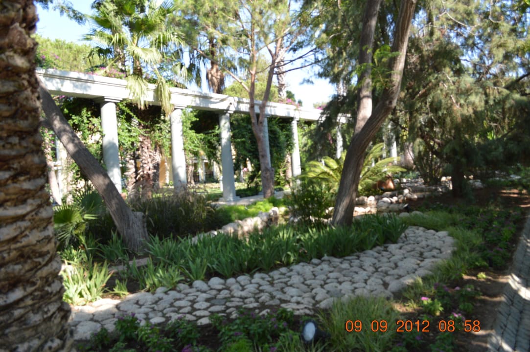 Ogród - przed lobby TUI Magic Life Belek