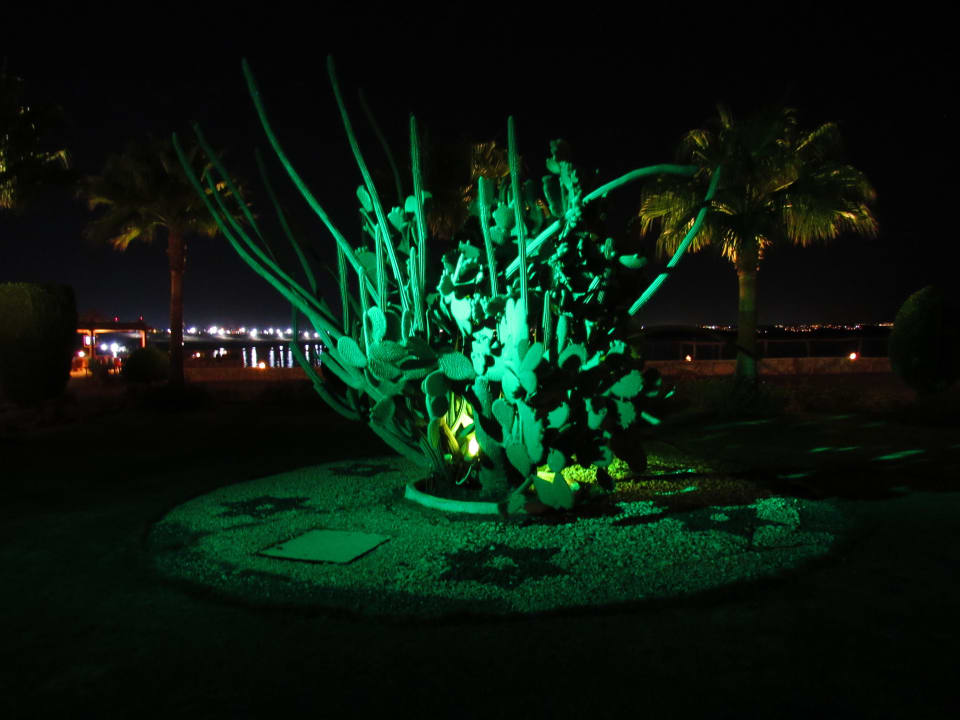 Gartenanlage Sharm Club Beach Resort