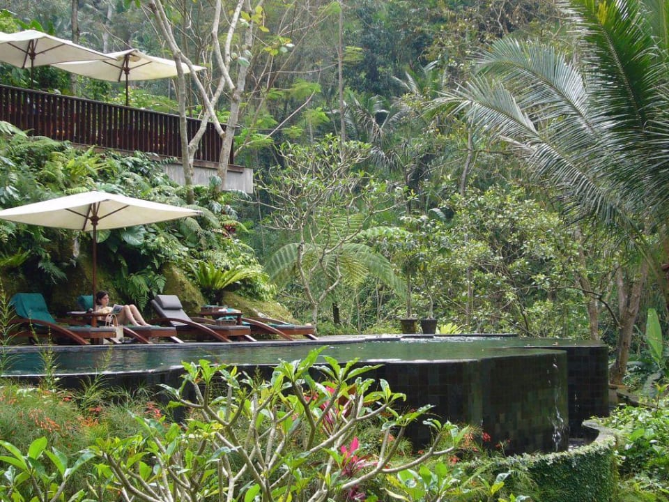 Pool beim Spa Maya Ubud Resort & Spa Bali
