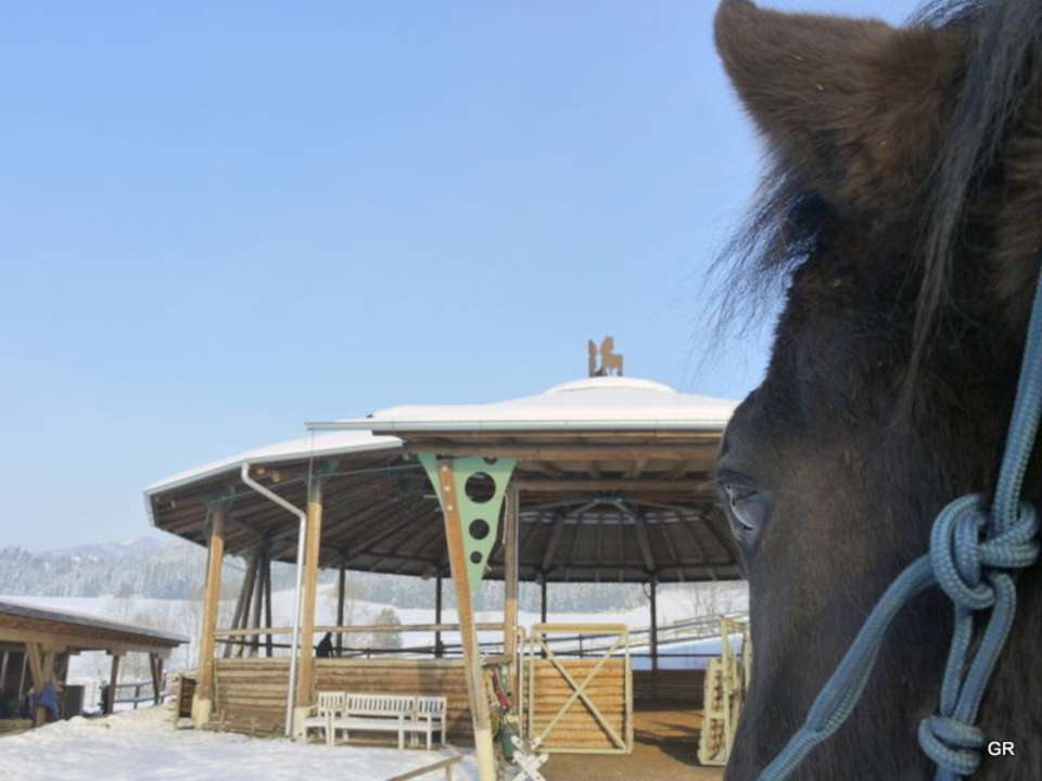 Roundpen Ferienwohnungen Pferdehof Stockner
