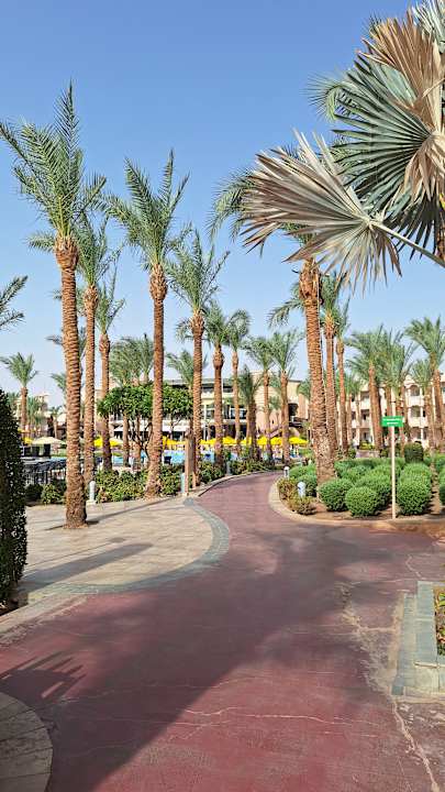 Pool Pickalbatros Palace Resort