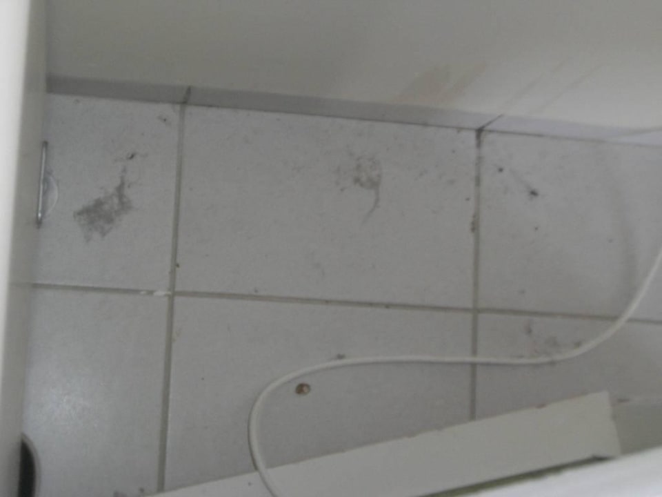 Dreckiger Boden Asteria Family Resort Side