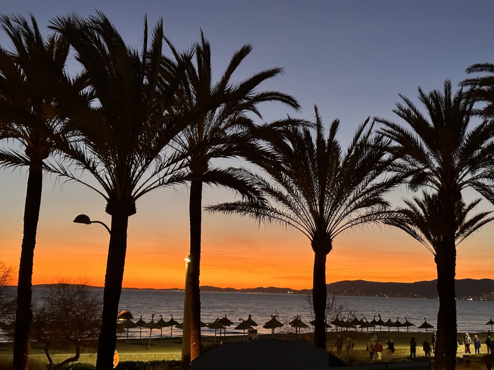 Zimmer Hotel Riu San Francisco - Adults only