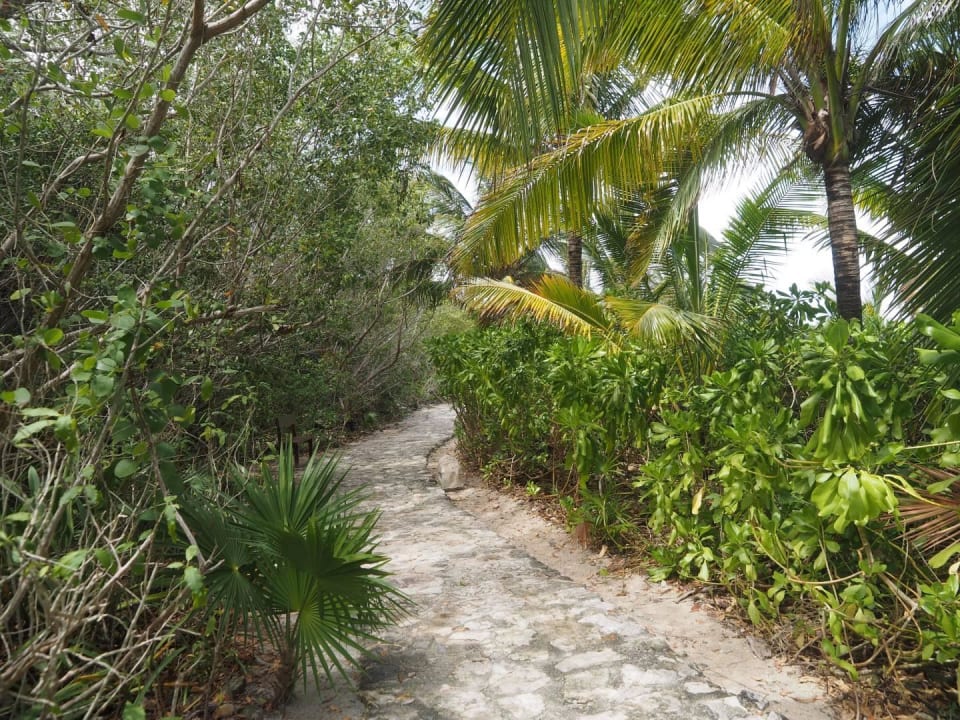 Reiseexperte on Tour Grand Palladium Riviera Maya