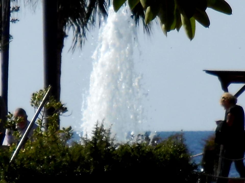 Blick durch den Park auf das Meer Riviera Hotel & Spa