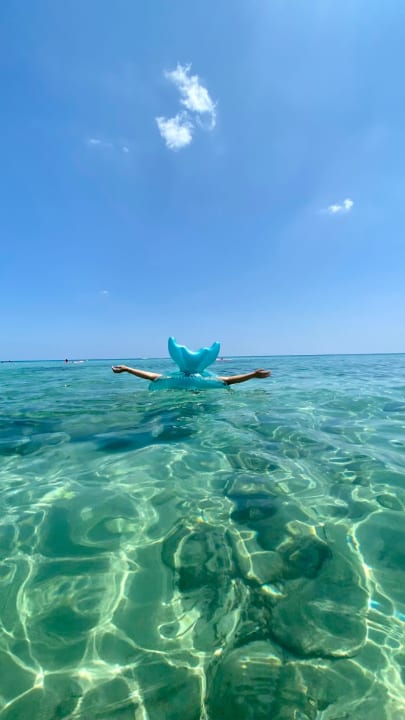 Strand Hotel Royal Nozha