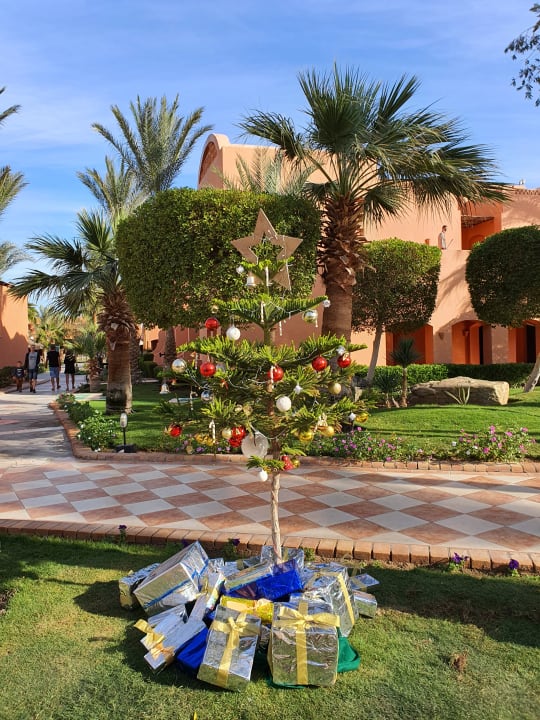 Gartenanlage Jaz Makadi Oasis Resort