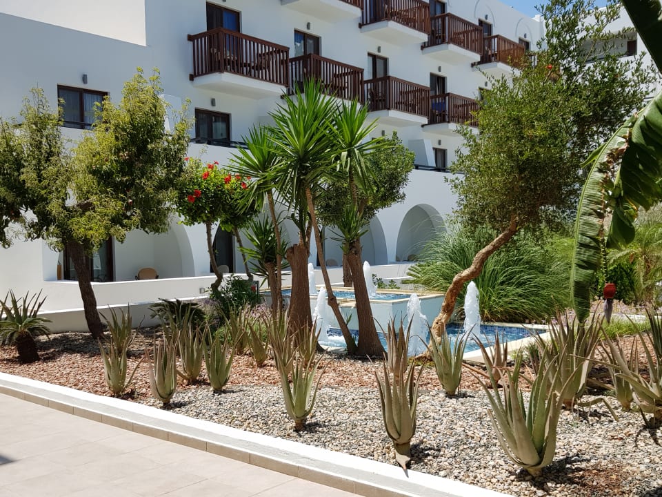 Gartenanlage TUI BLUE Oceanis Beach and Spa Resort