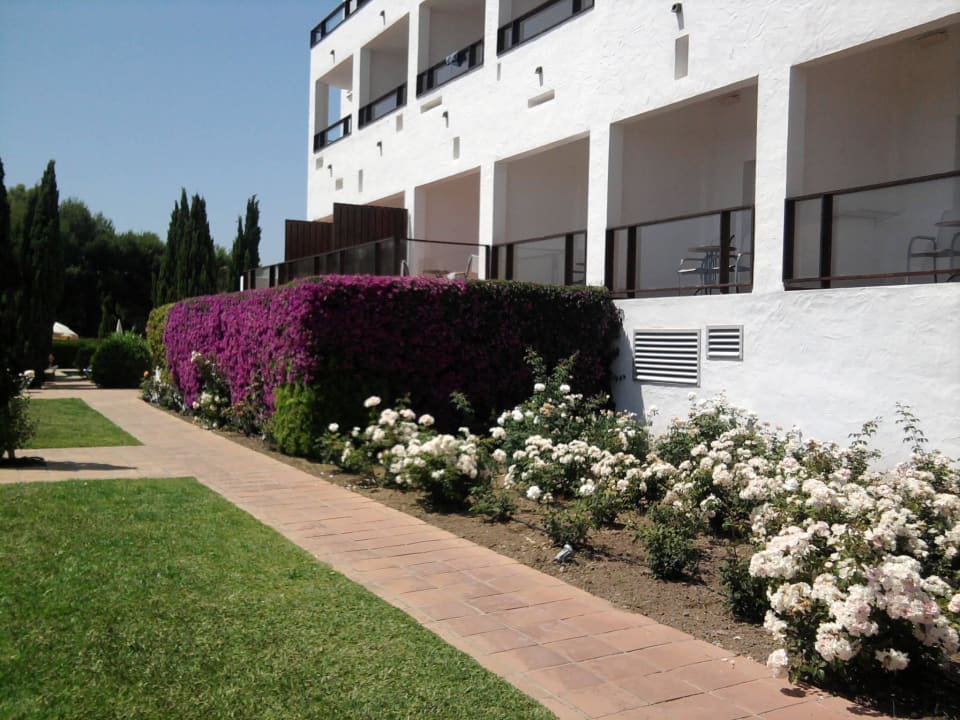 Fuerte Costa Luz Fuerte Conil-Resort