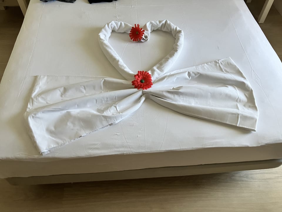 Zimmer Aydinbey Kings Palace & Spa