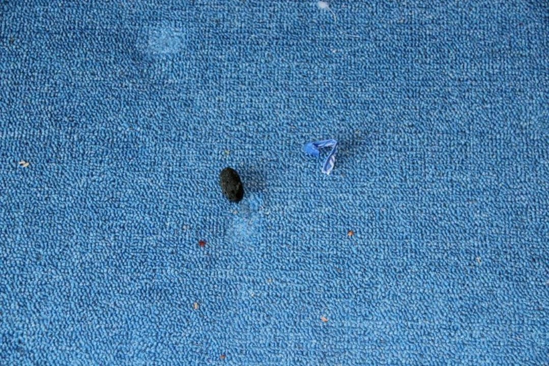 Ekel! Maden haben sich durchgebissen Royal Park Hotel & Aqua park