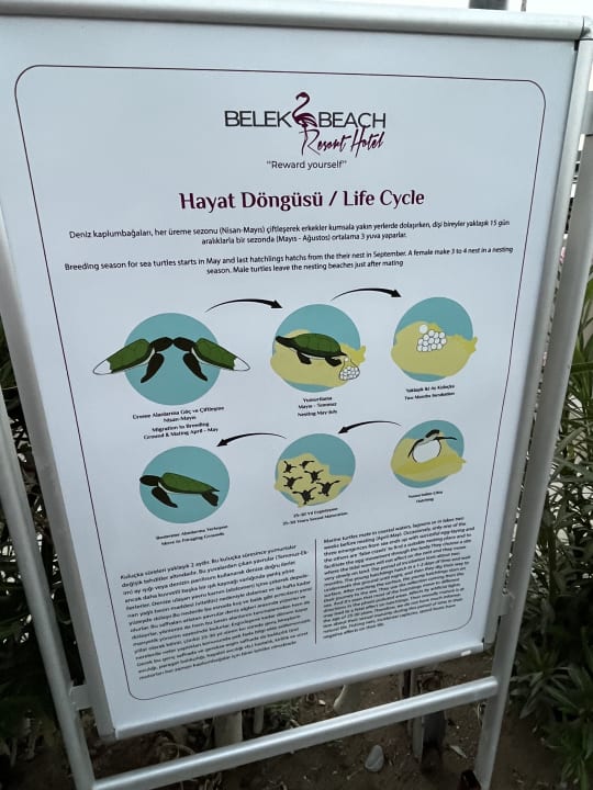 Strand Belek Beach Resort Hotel