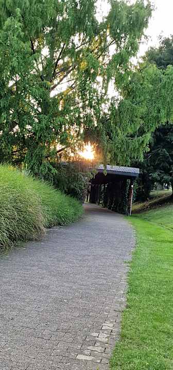Ausblick Parkhotel Weiskirchen