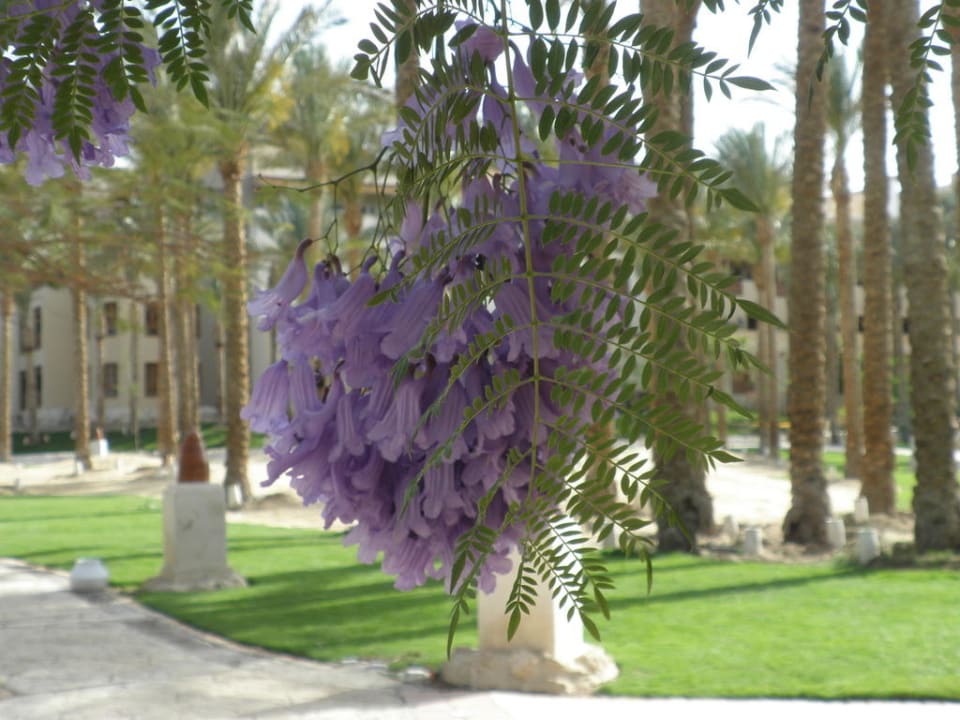 Auf dem Weg zum Strand Makadi Palace