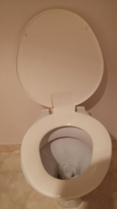 WC Deckel auch geschätzte 100 Jahre Hotel Bayview Chateau Tongariro