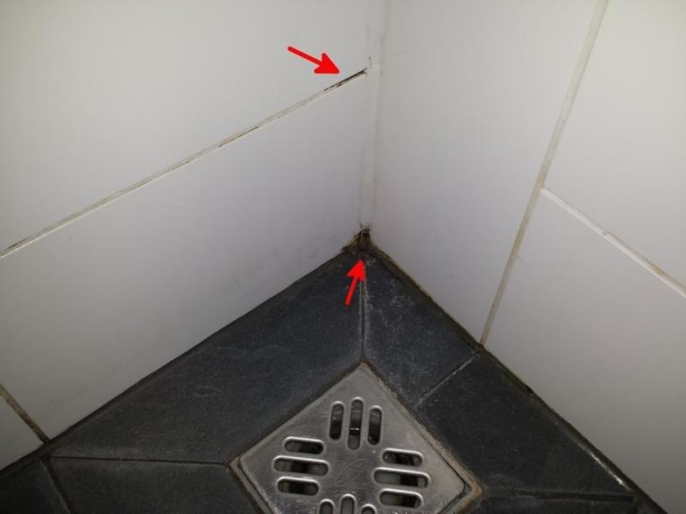 Schimmelbildung im Bad Four Points by Sheraton Panoramahaus Dornbirn