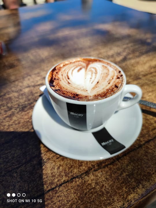 Gastro Alcudia Garden Aparthotel