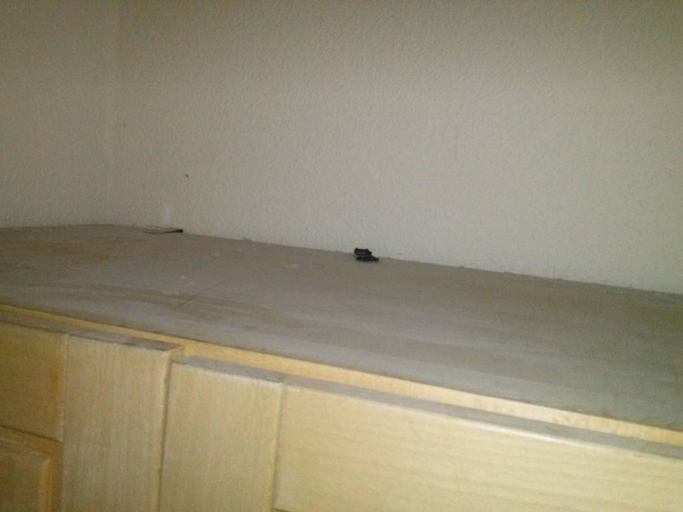 Klinisch rein Hotel Gates